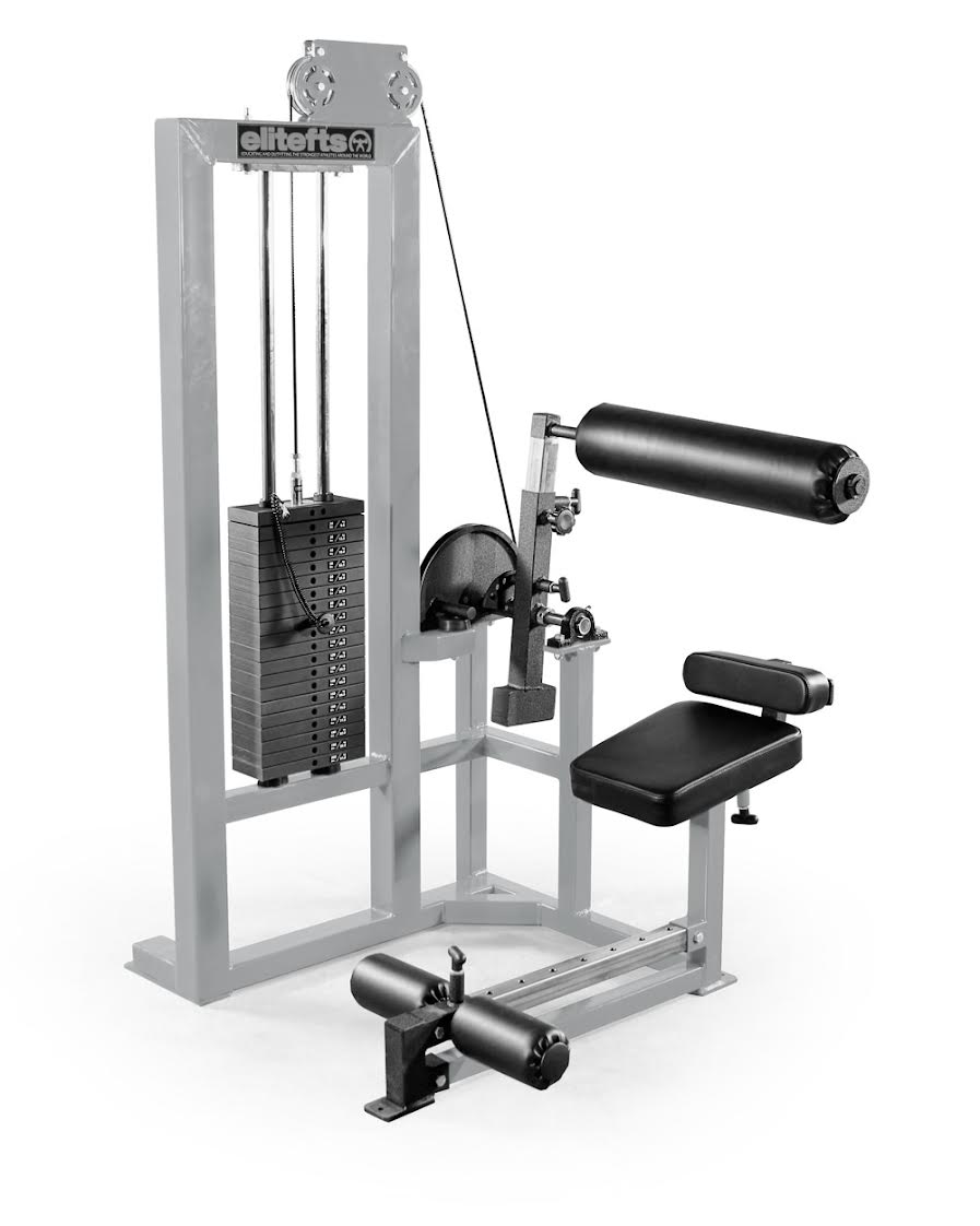 elitefts  Low Back Machine - Selectorized