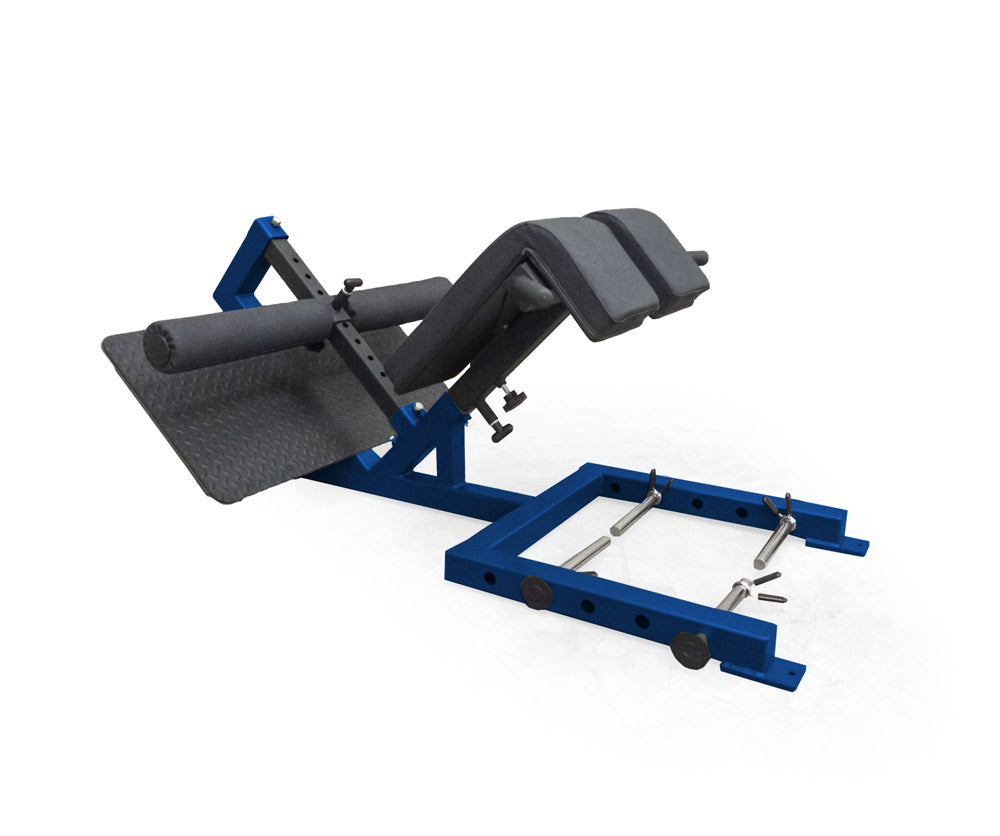 Blue elitefts Professional 45 Degree Back Raise