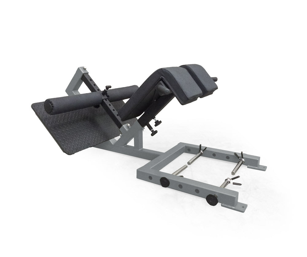 Platinum elitefts Professional 45 Degree Back Raise
