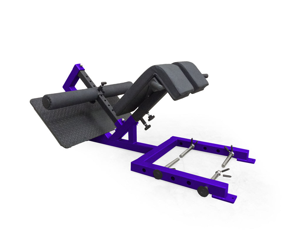 Purple elitefts Professional 45 Degree Back Raise