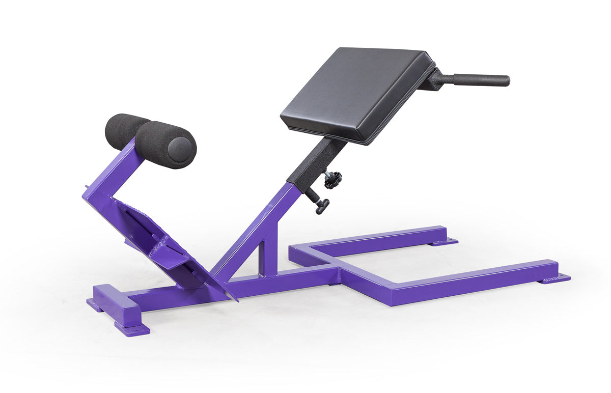 Elitefts Scholastic 45 Degree Back Raise purple side view
