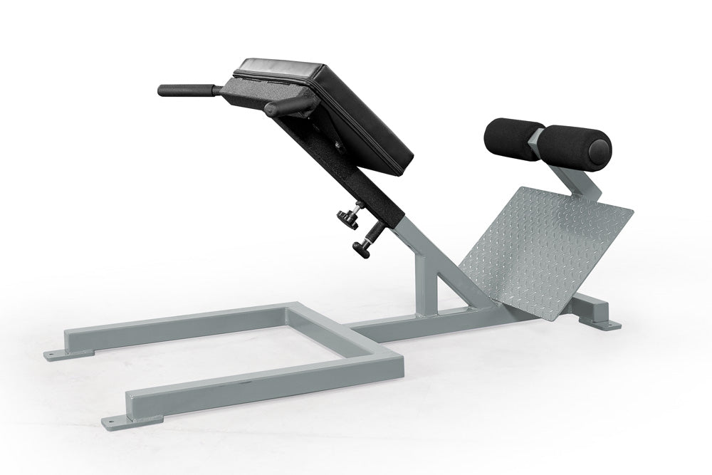 elitefts Scholastic 45 Degree Back Raise platinum 