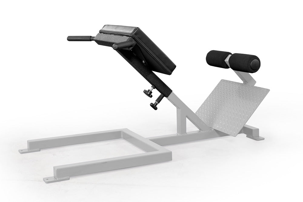 elitefts Scholastic 45 Degree Back Raise platinum 