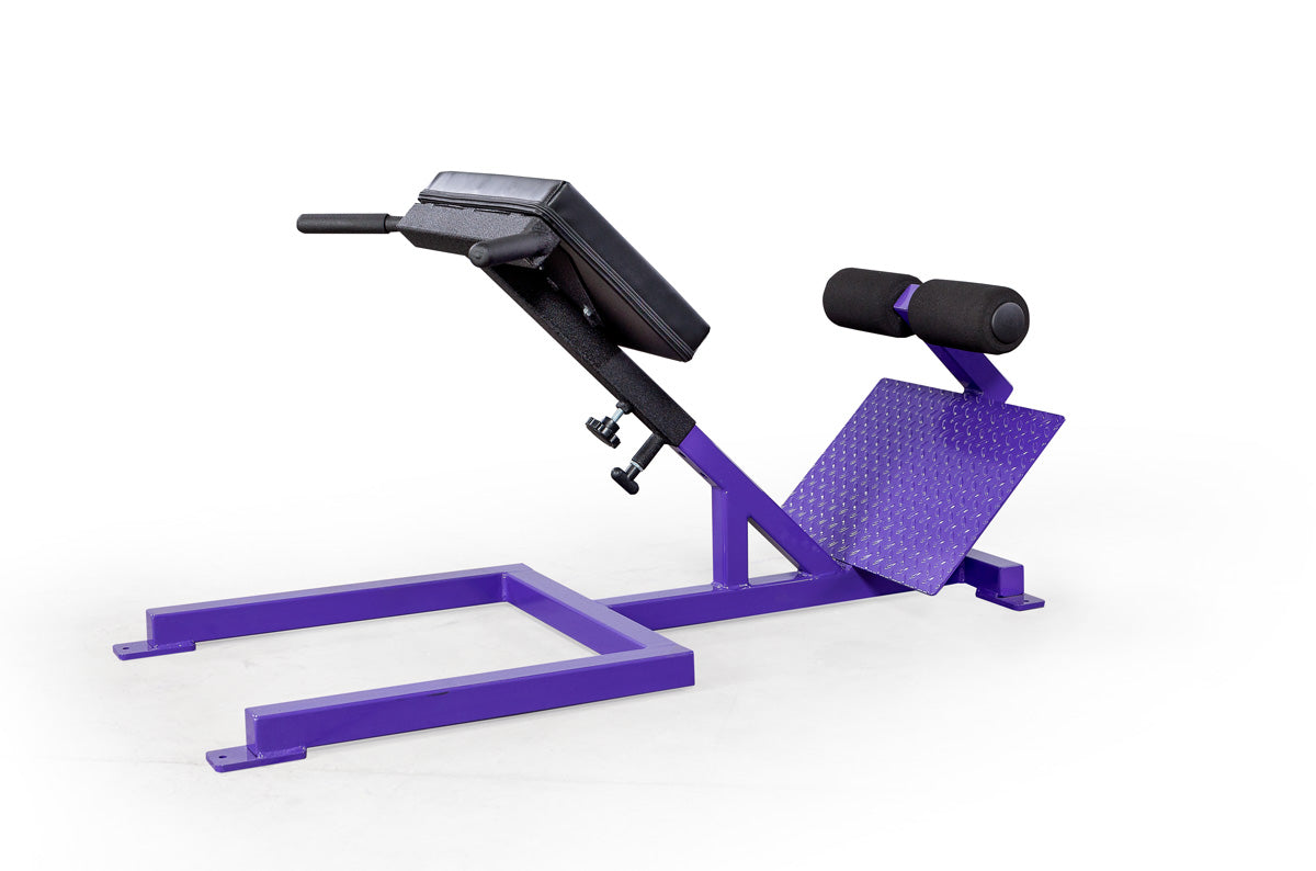Elitefts Scholastic 45 Degree Back Raise purple

