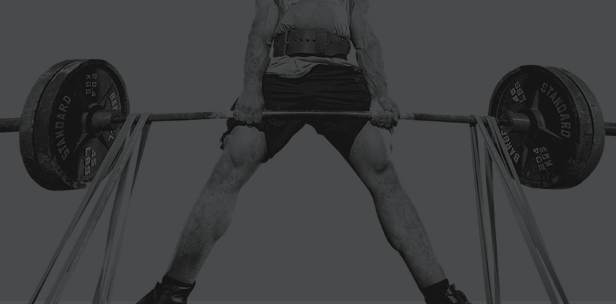 elitefts bands