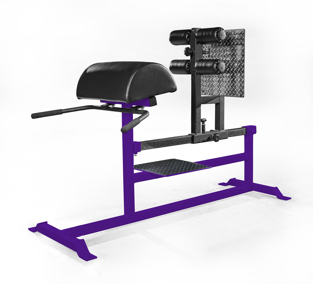 purple elitefts GHR - Deluxe Glute Ham Raise