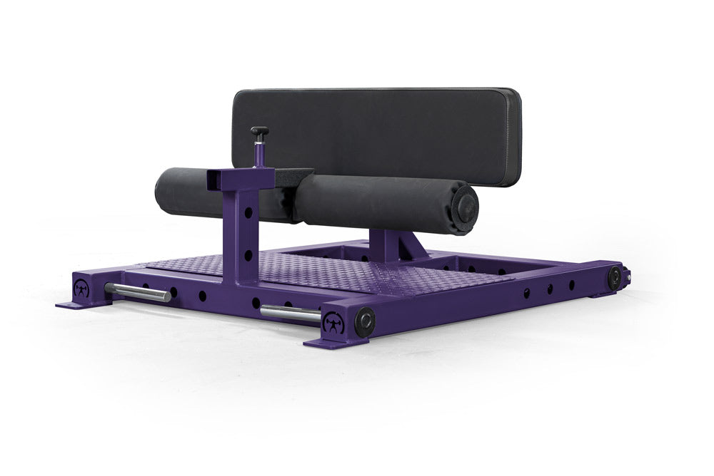 elitefts Multi Squat Hip Extension