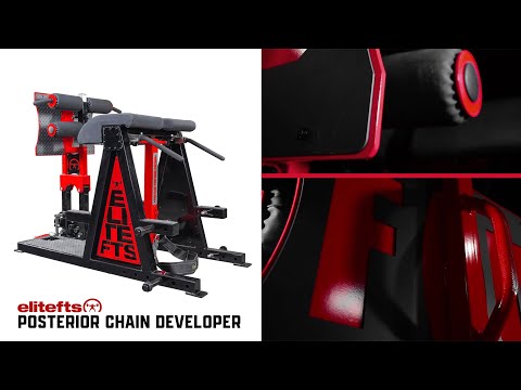 elitefts Signature Posterior Chain Developer-all-groups