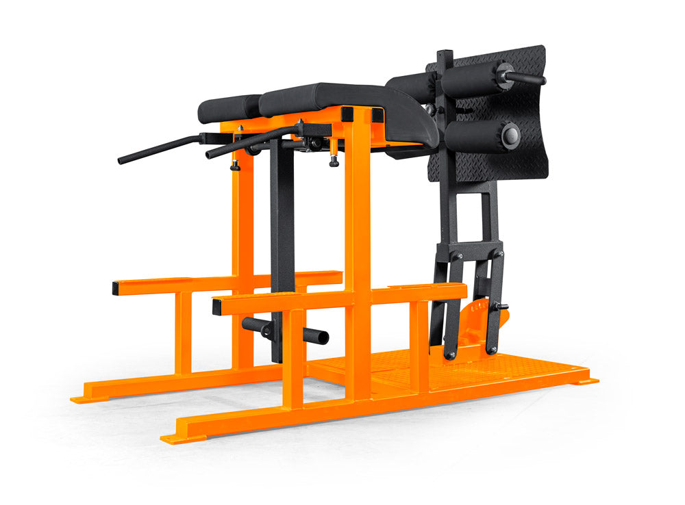 elitefts Posterior Chain Developer