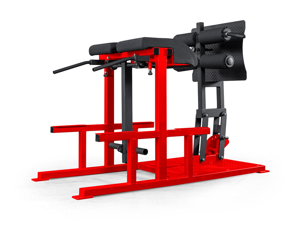 elitefts Posterior Chain Developer