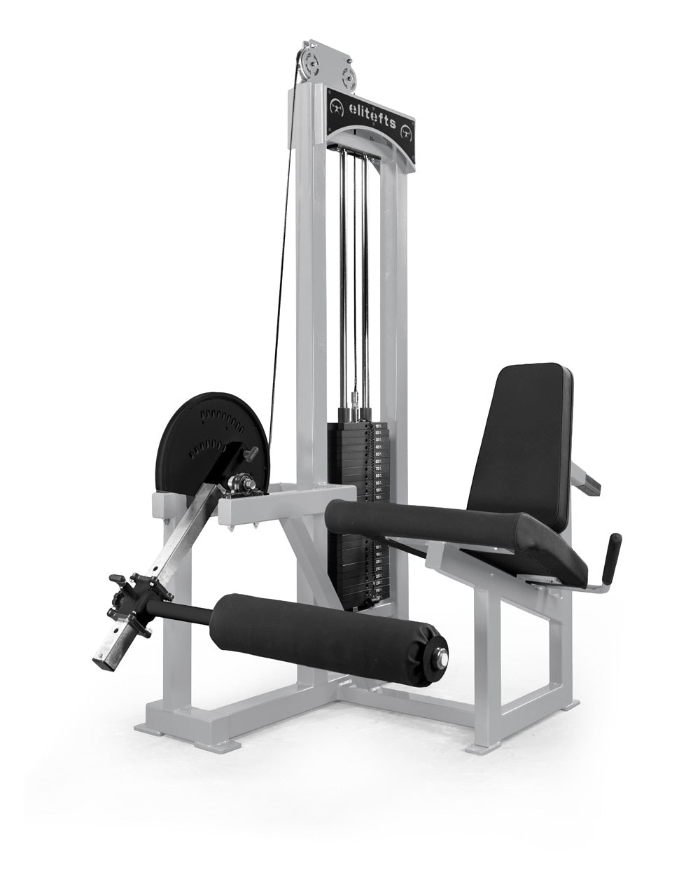platinim elitefts Signature Deluxe Leg Extension – Selectorized w/ 250lb Weight Stack