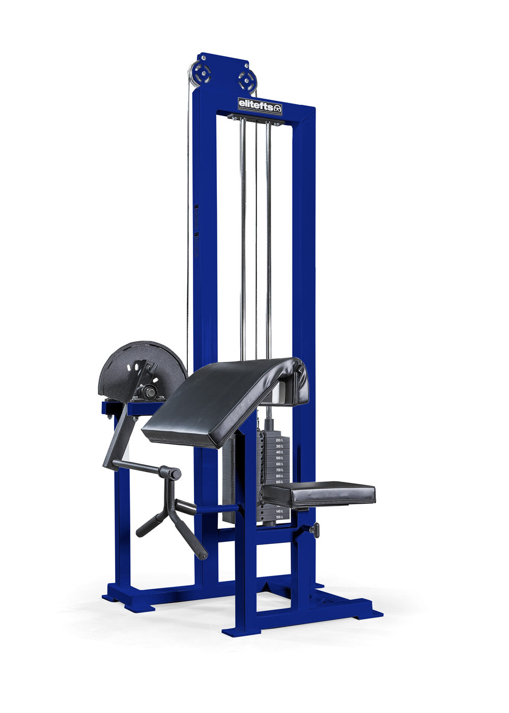 Preacher Curl - Selectorized blue