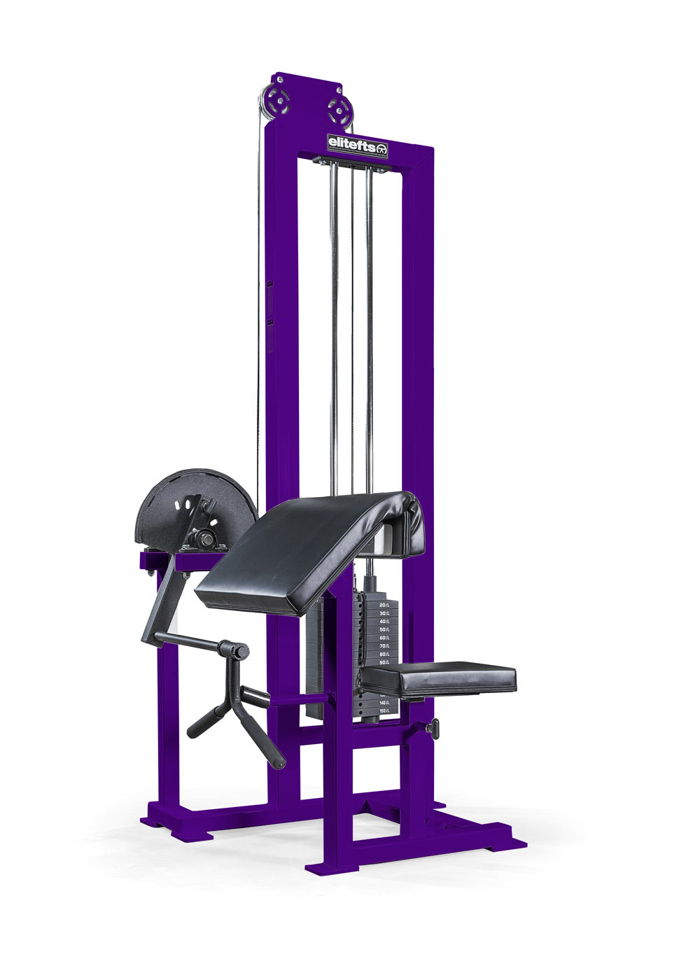 Preacher Curl - Selectorized purple